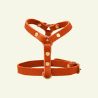 Butter Y | Harnais pour chien en cuir, finition laiton ou acier (10 coloris) - Jean-Poil - Mangue