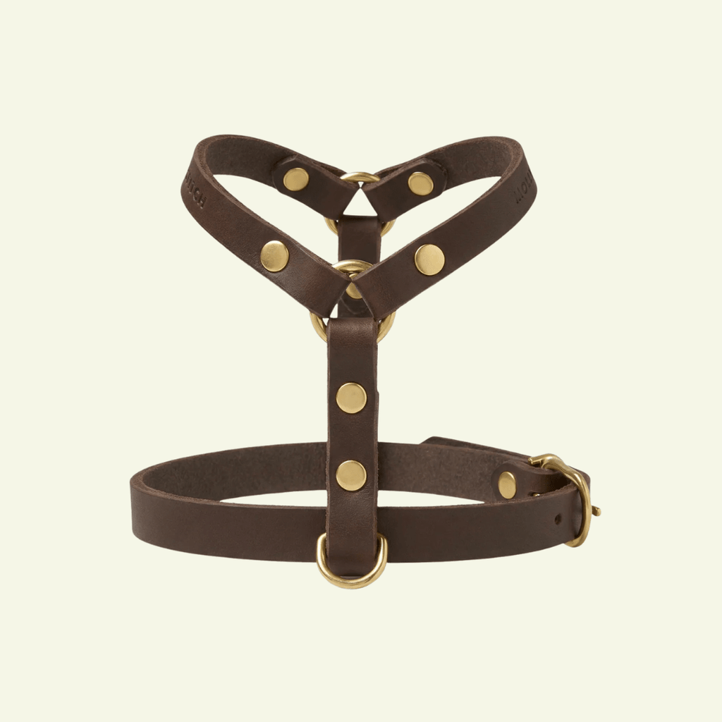 Butter Y | Harnais pour chien en cuir, finition laiton ou acier (10 coloris) - Jean - Poil - Marron