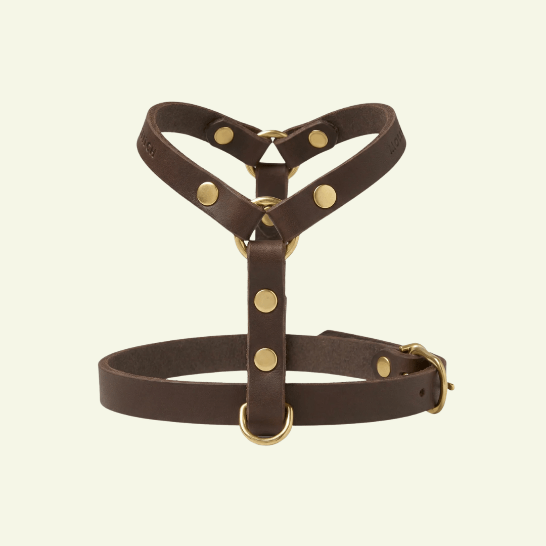 Butter Y | Harnais pour chien en cuir, finition laiton ou acier (10 coloris) - Jean - Poil - Marron