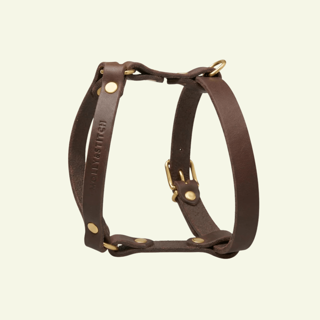 Butter Y | Harnais pour chien en cuir, finition laiton ou acier (10 coloris) - Jean - Poil - marron
