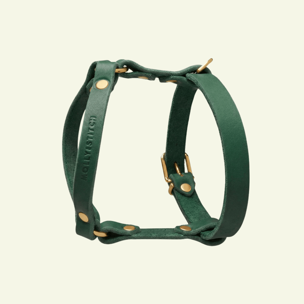 Butter Y | Harnais pour chien en cuir, finition laiton ou acier (10 coloris) - Jean - Poil - Vert foncé