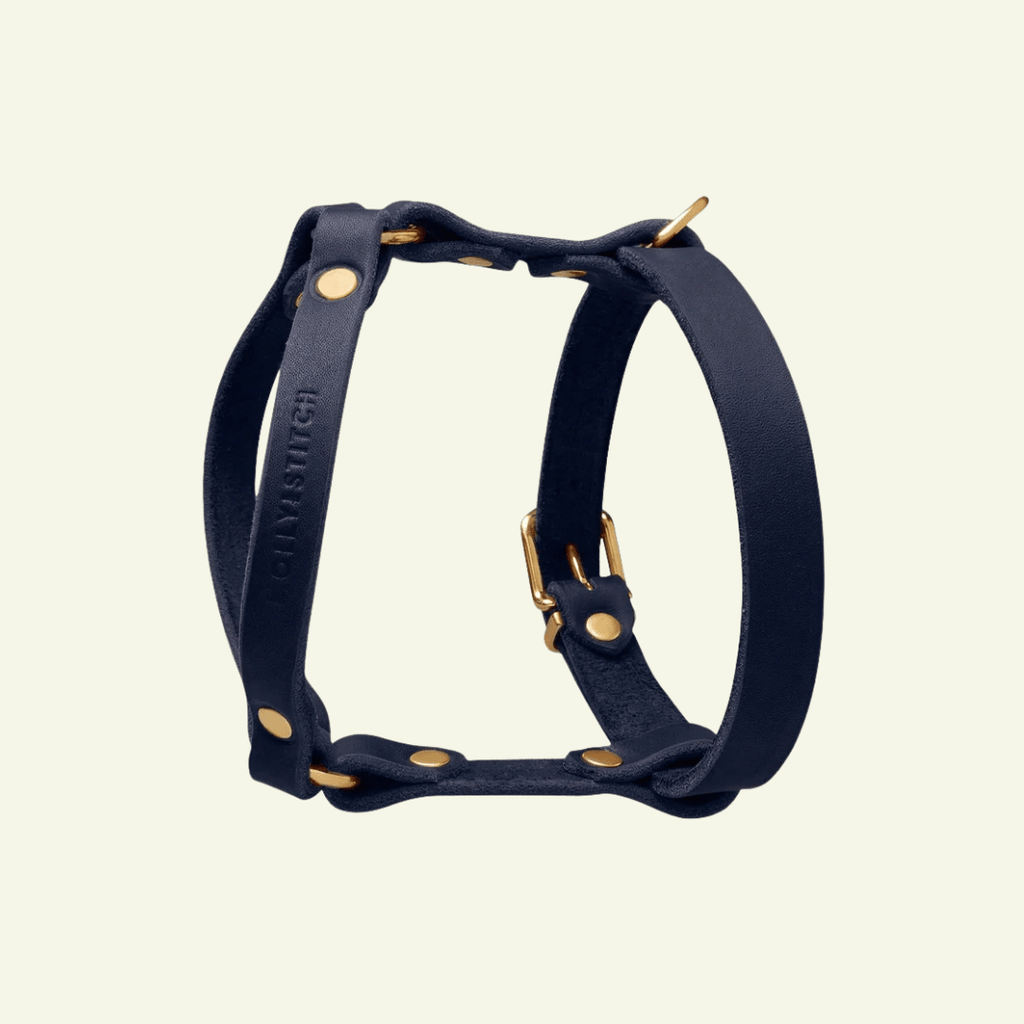 Butter Y | Harnais pour chien en cuir, finition laiton ou acier (10 coloris) - Jean-Poil - Violet foncé