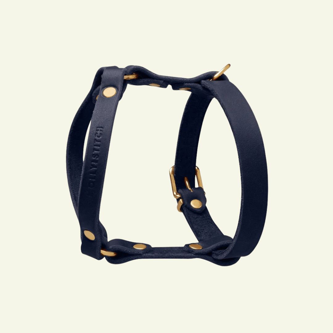 Butter Y | Harnais pour chien en cuir, finition laiton ou acier (10 coloris) - Jean-Poil - Violet foncé