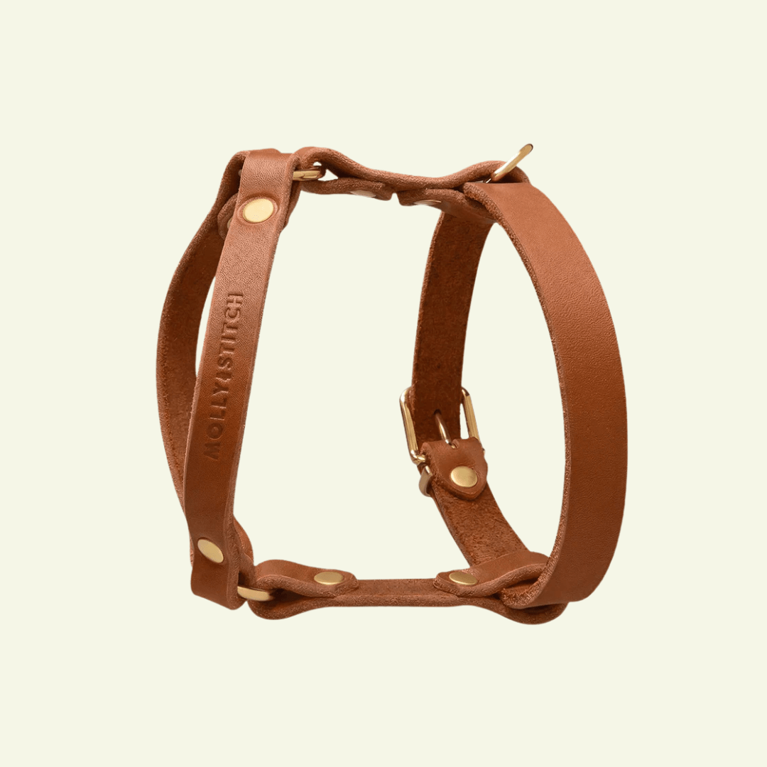 Butter Y | Harnais pour chien en cuir, finition laiton ou acier (10 coloris) - Jean-Poil - Violet foncé