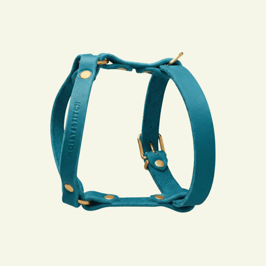 Butter Y | Harnais pour chien en cuir, finition laiton ou acier (10 coloris) - Jean-Poil - Violet foncé