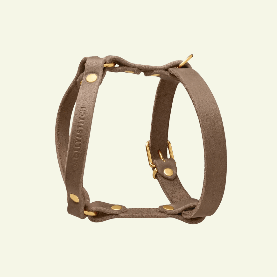 Butter Y | Harnais pour chien en cuir, finition laiton ou acier (10 coloris) - Jean-Poil - Violet foncé