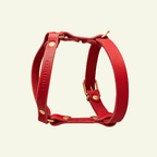 Butter Y | Harnais pour chien en cuir, finition laiton ou acier (10 coloris) - Jean-Poil - Violet foncé