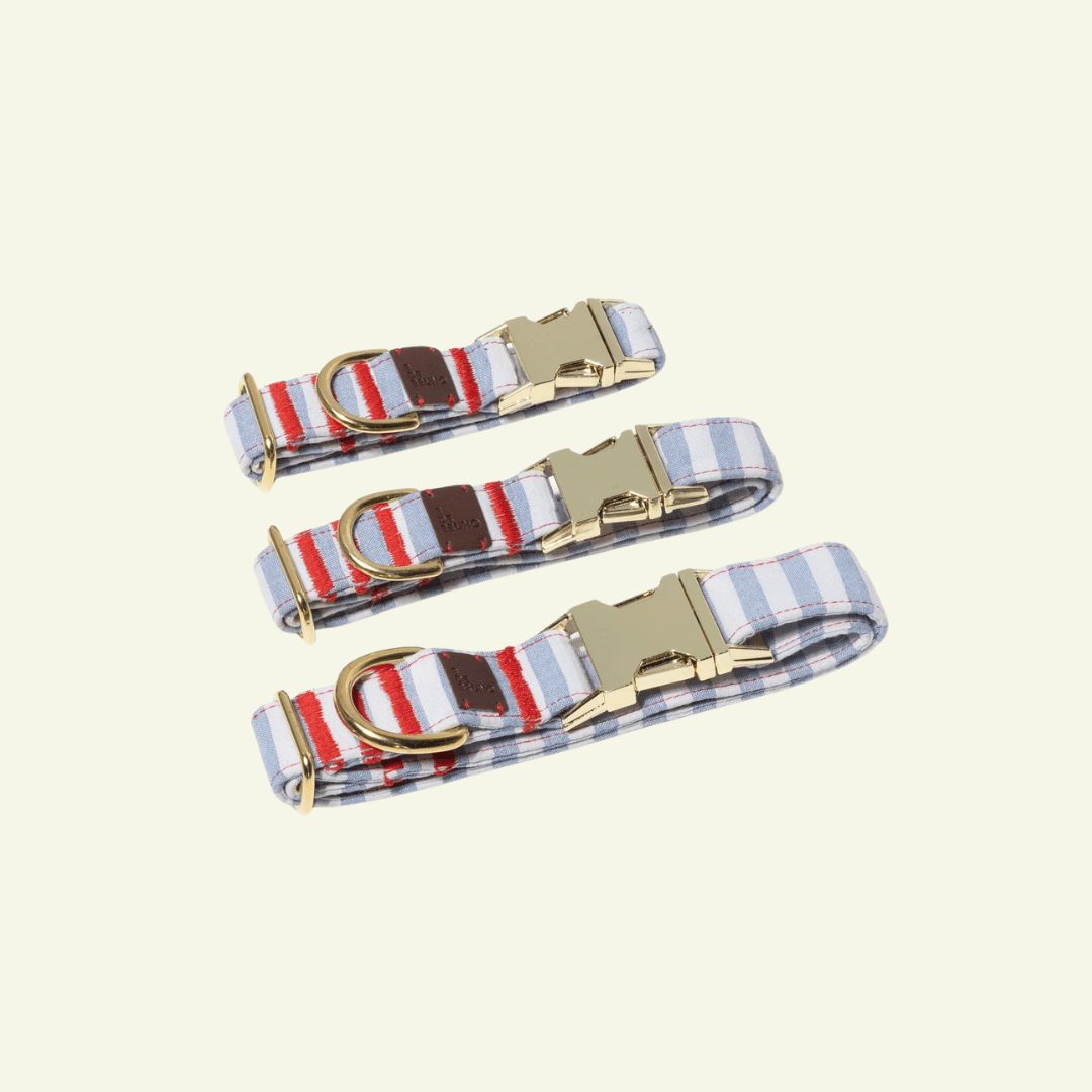 Cascais | Collier pour chien à rayures bleues et coutures rouges, fait main - Jean-Poil - 2XS