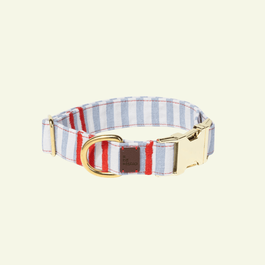 Cascais | Collier pour chien à rayures bleues et coutures rouges, fait main - Jean-Poil - 2XS