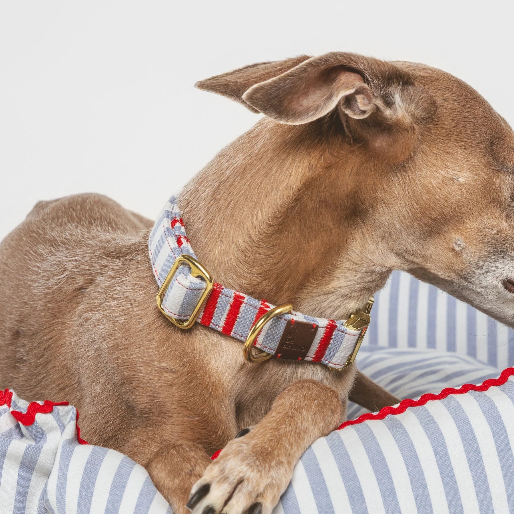 Cascais | Collier pour chien à rayures bleues et coutures rouges, fait main - Jean-Poil - 2XS