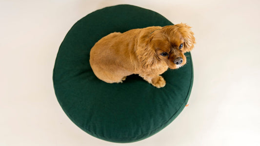 Cloud | Pouf design confortable pour chien - Jean - Poil - Rose