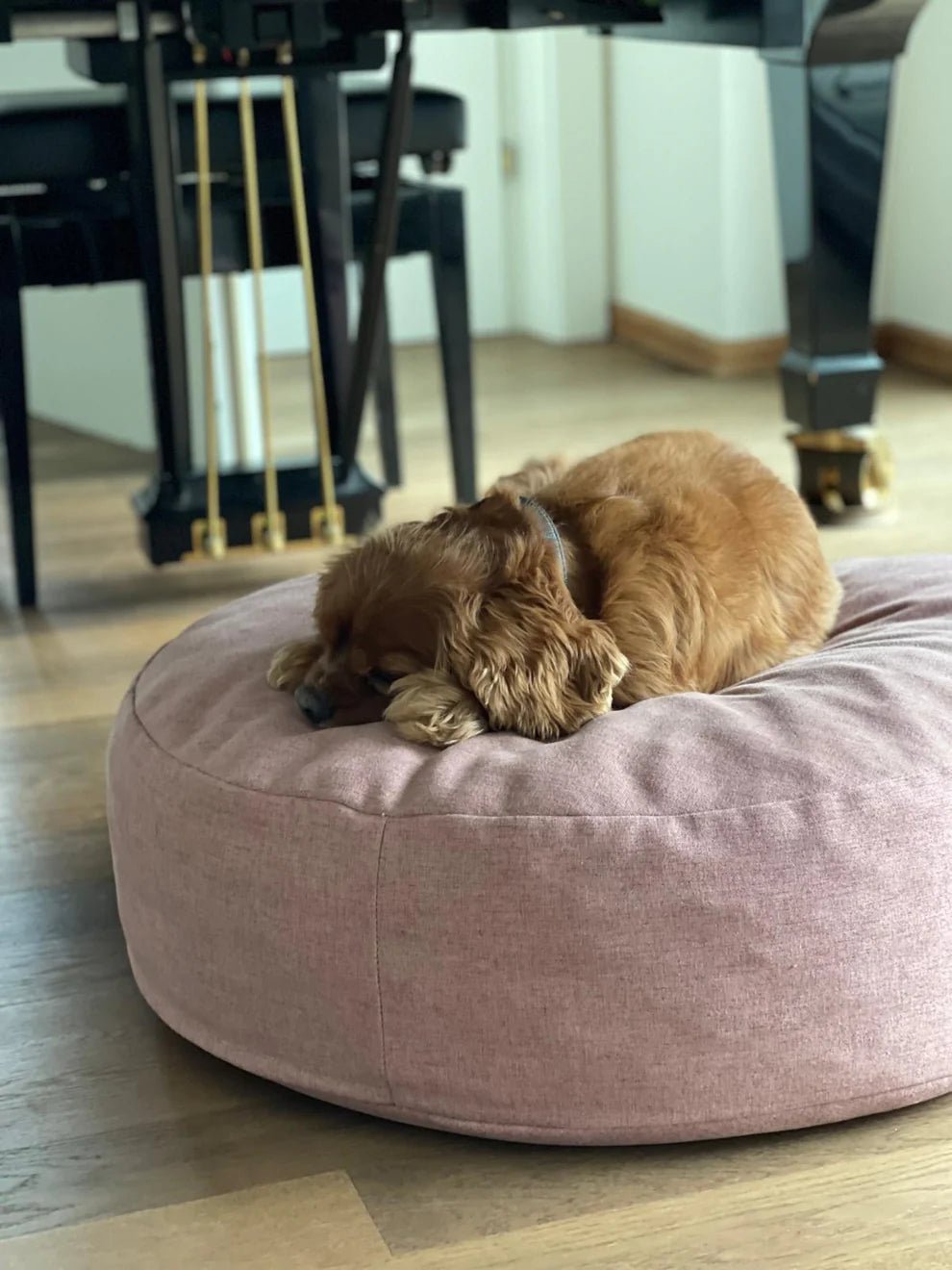 Cloud | Pouf design confortable pour chien - Jean - Poil - Rose