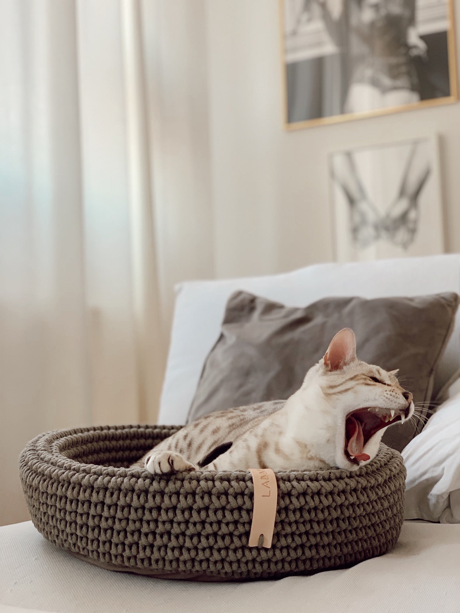 Coco | Panier design pour chat en corde de coton tressée - Jean - Poil - Beige