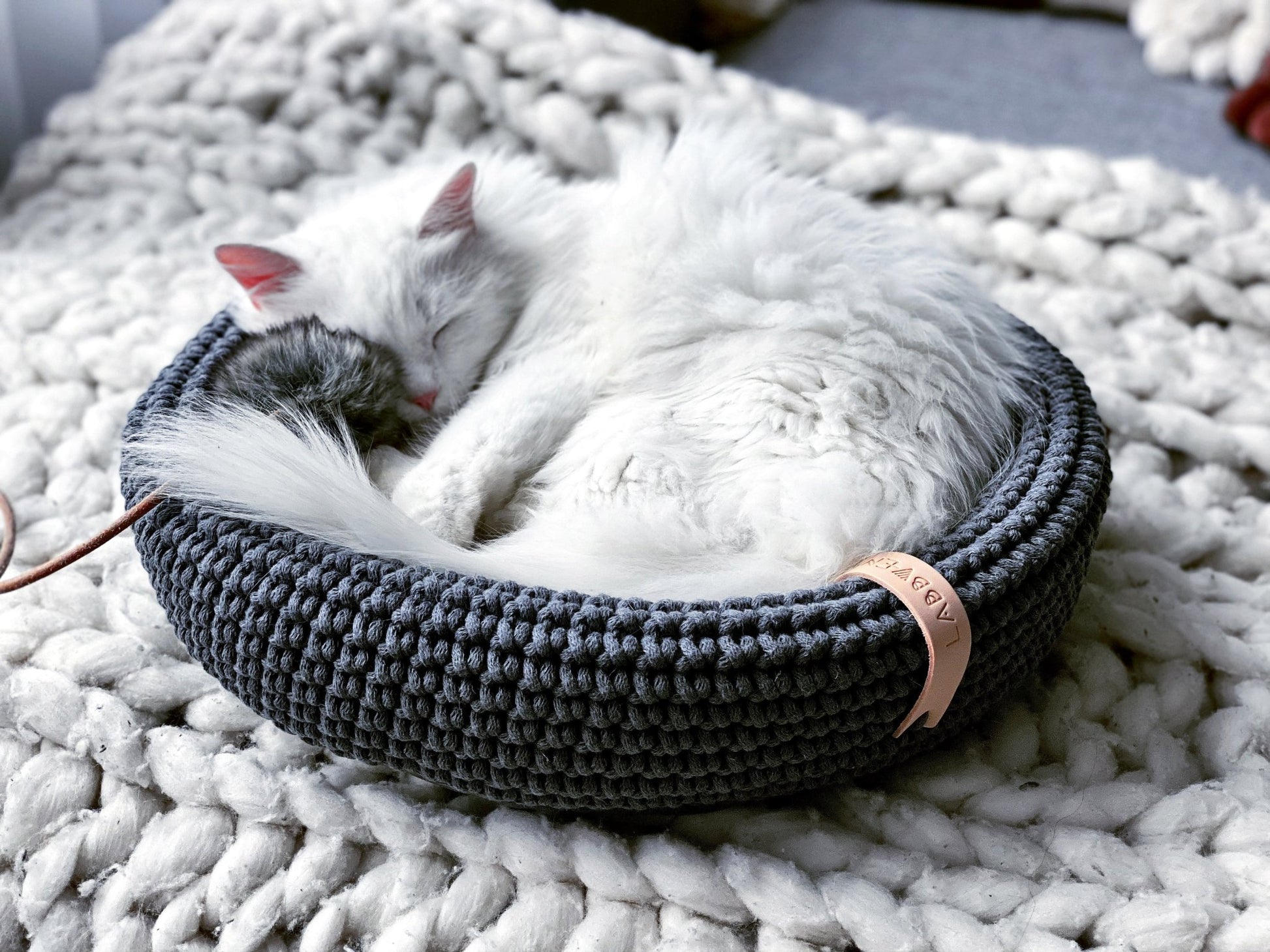 Coco | Panier design pour chat en corde de coton tressée - Jean - Poil - Beige