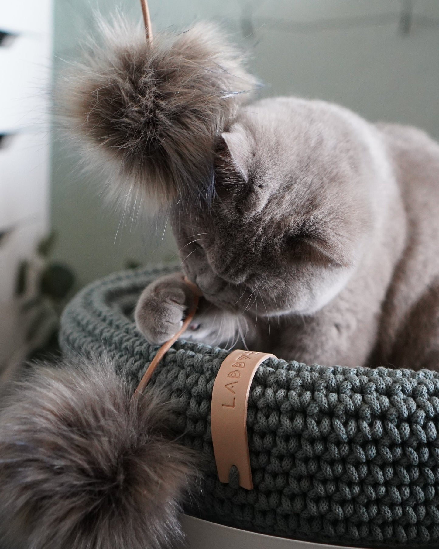 Coco | Panier design pour chat en corde de coton tressée - Jean - Poil - Beige