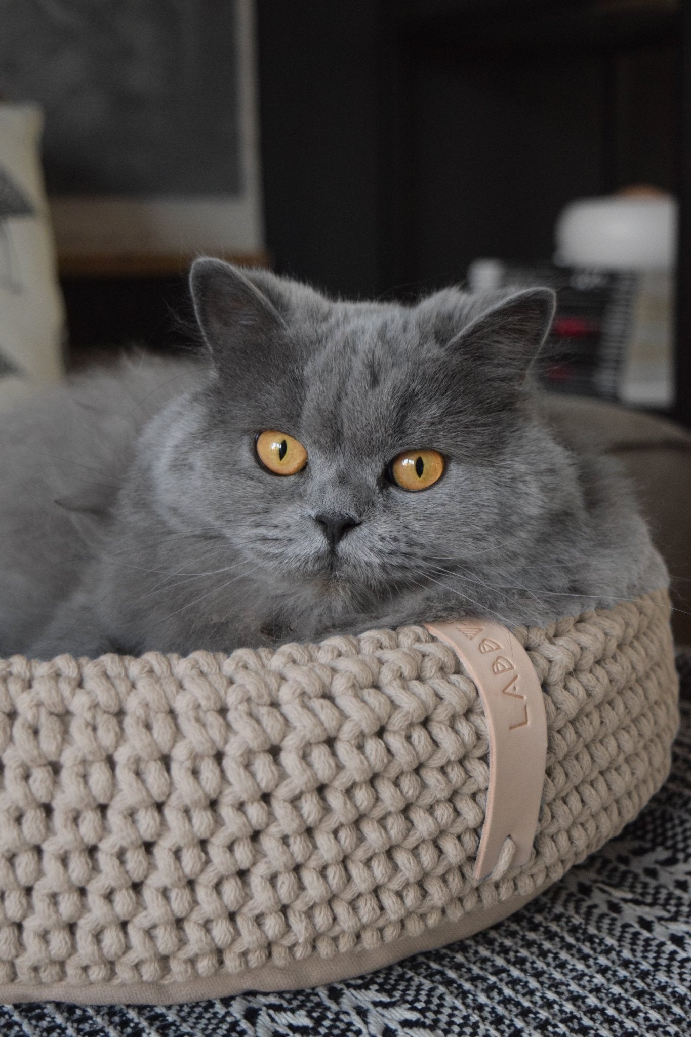 Coco | Panier design pour chat en corde de coton tressée - Jean - Poil - Beige