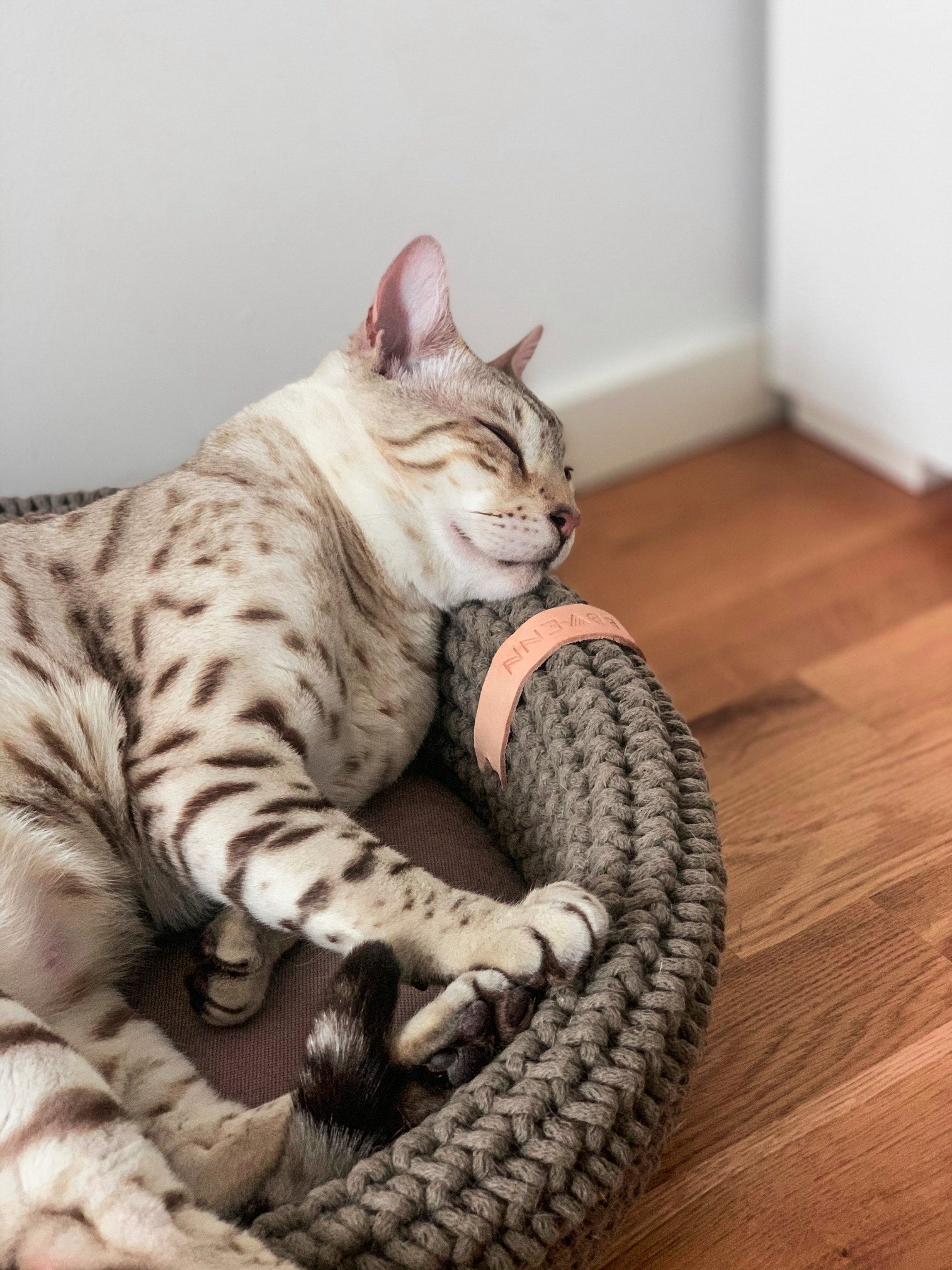 Coco | Panier design pour chat en corde de coton tressée - Jean - Poil - Beige