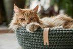 Coco | Panier design pour chat en corde de coton tressée - Jean - Poil - Beige