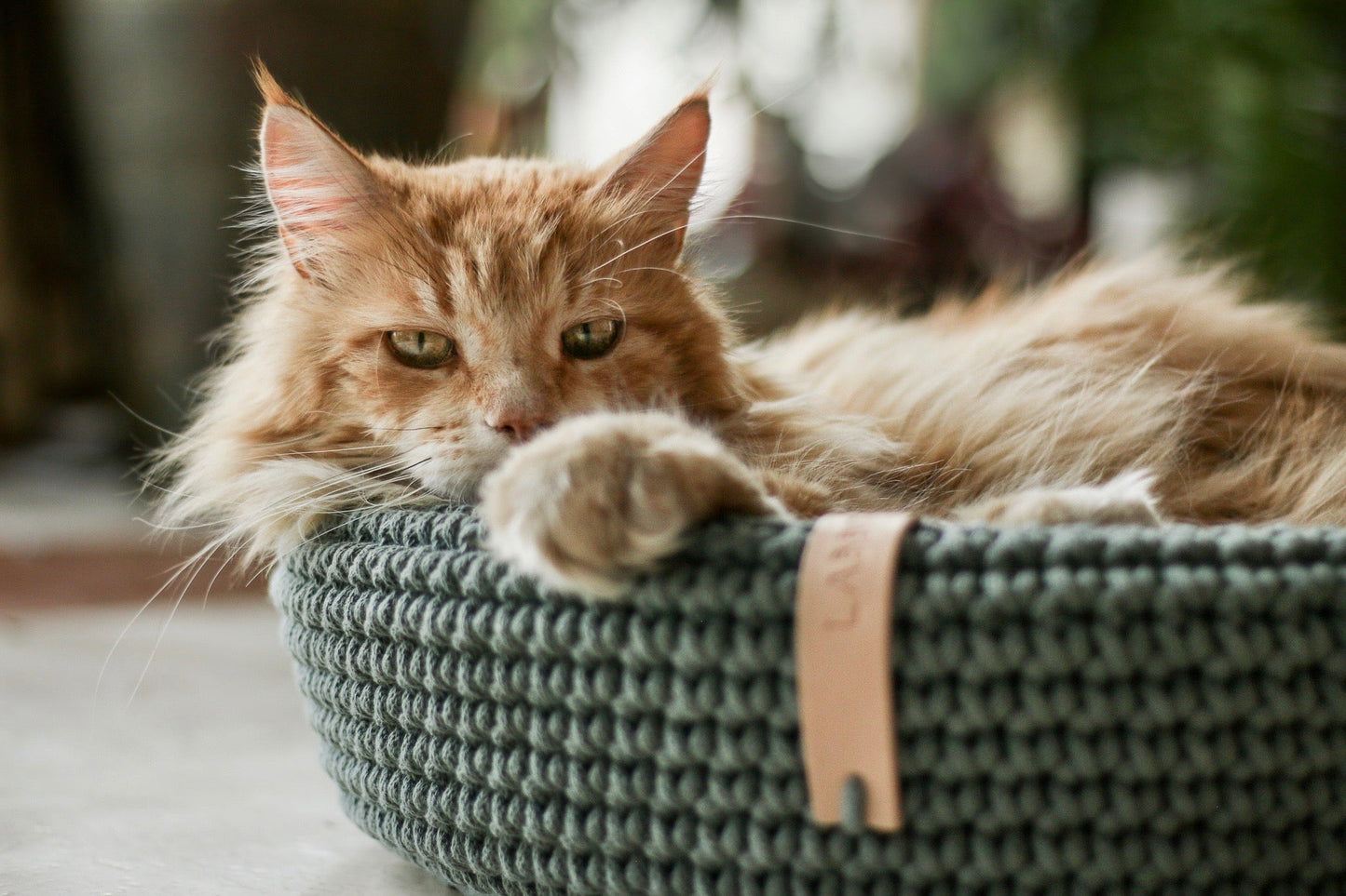 Coco | Panier design pour chat en corde de coton tressée - Jean - Poil - Beige