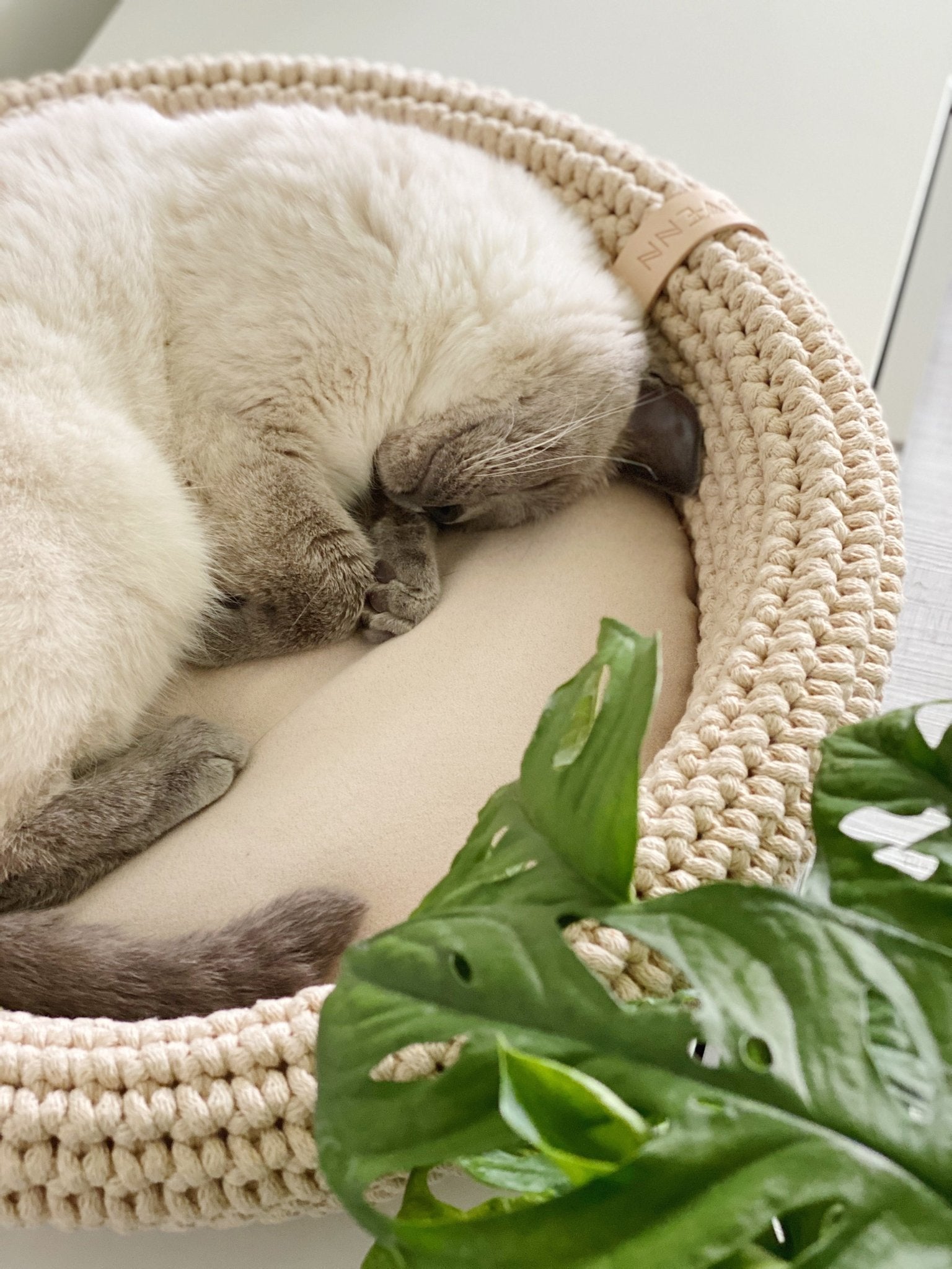 Coco | Panier design pour chat en corde de coton tressée - Jean - Poil - Beige