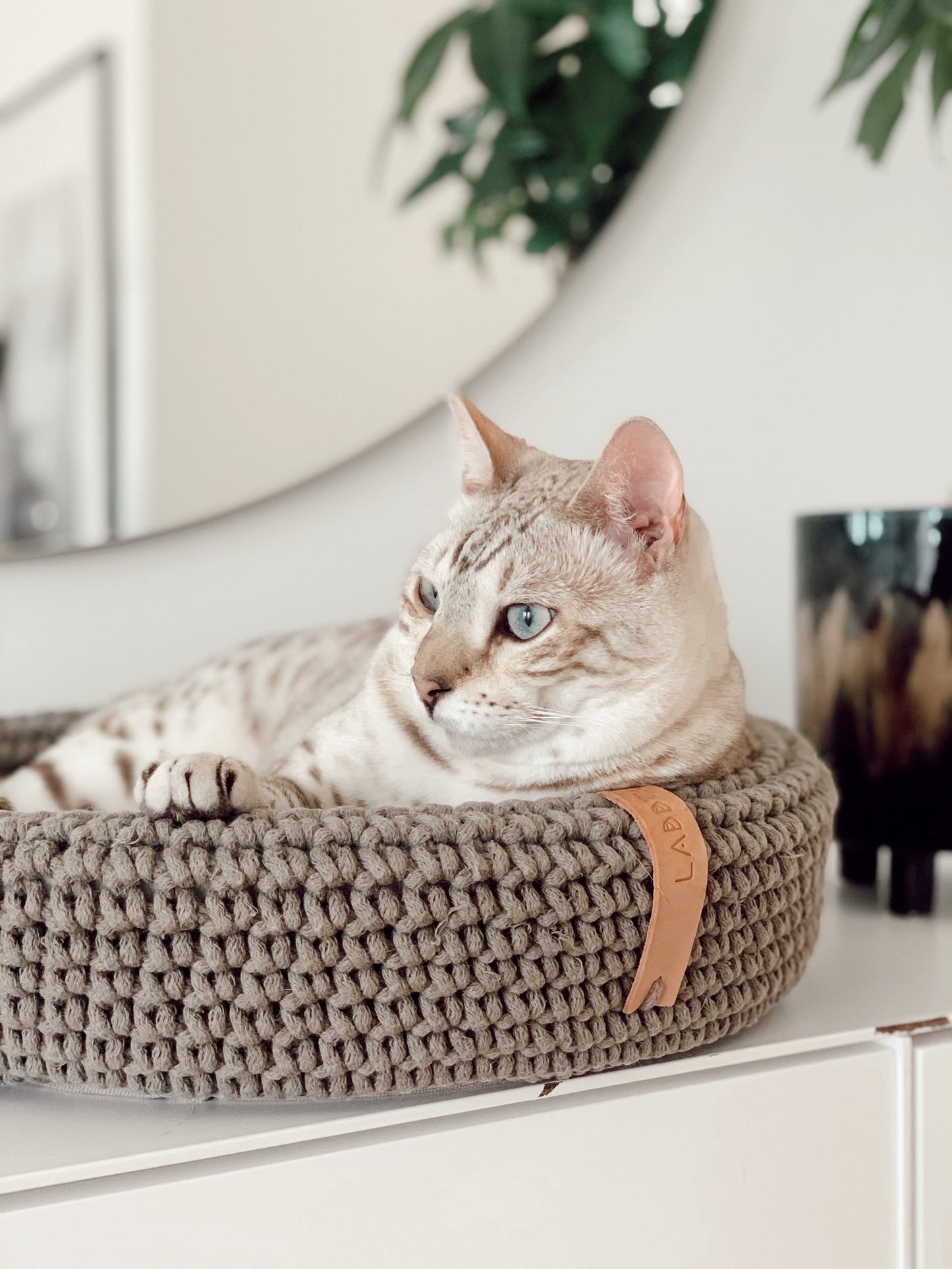 Coco | Panier design pour chat en corde de coton tressée - Jean - Poil - Beige