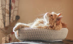 Coco | Panier design pour chat en corde de coton tressée - Jean - Poil - Beige