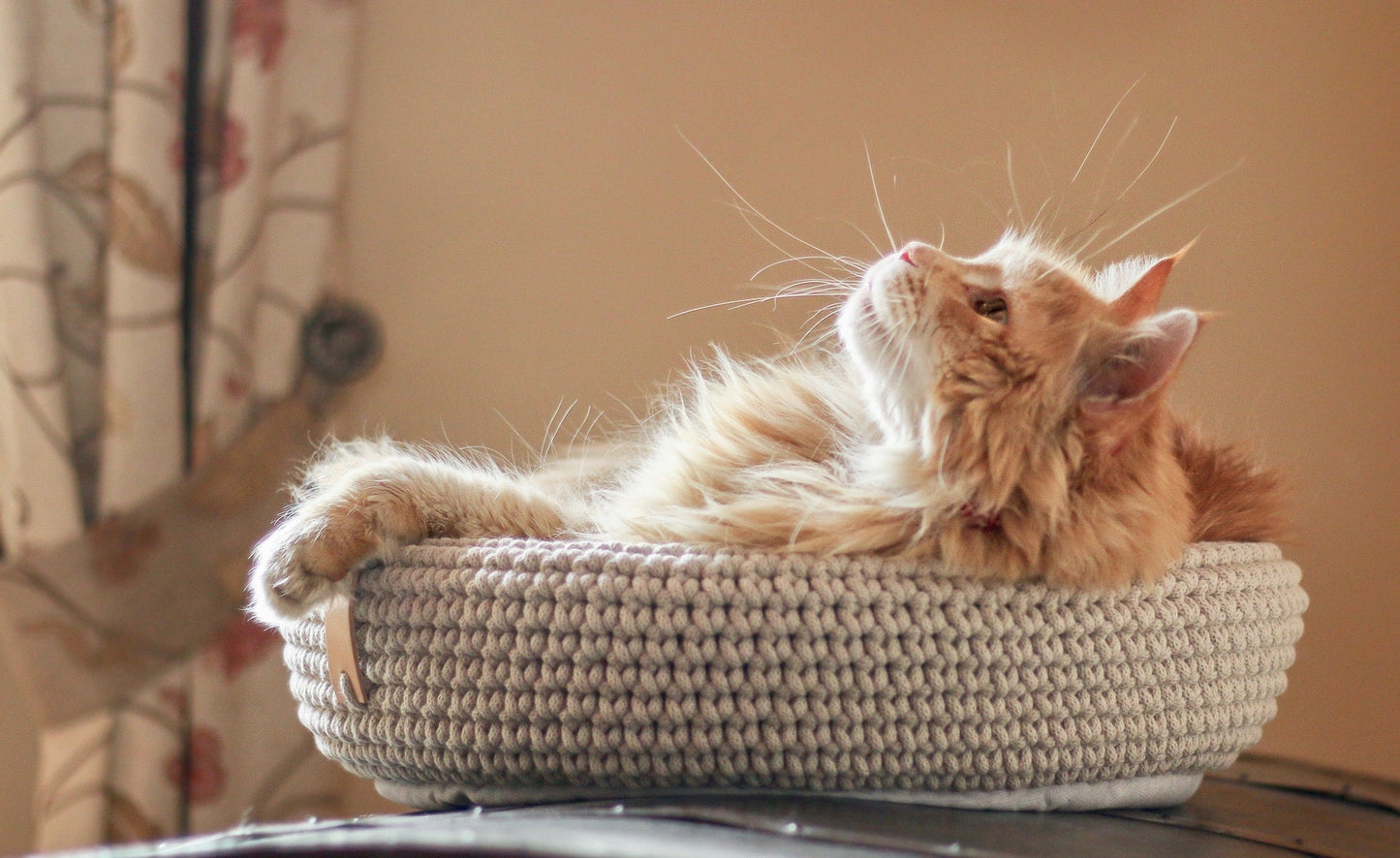 Coco | Panier design pour chat en corde de coton tressée - Jean - Poil - Beige