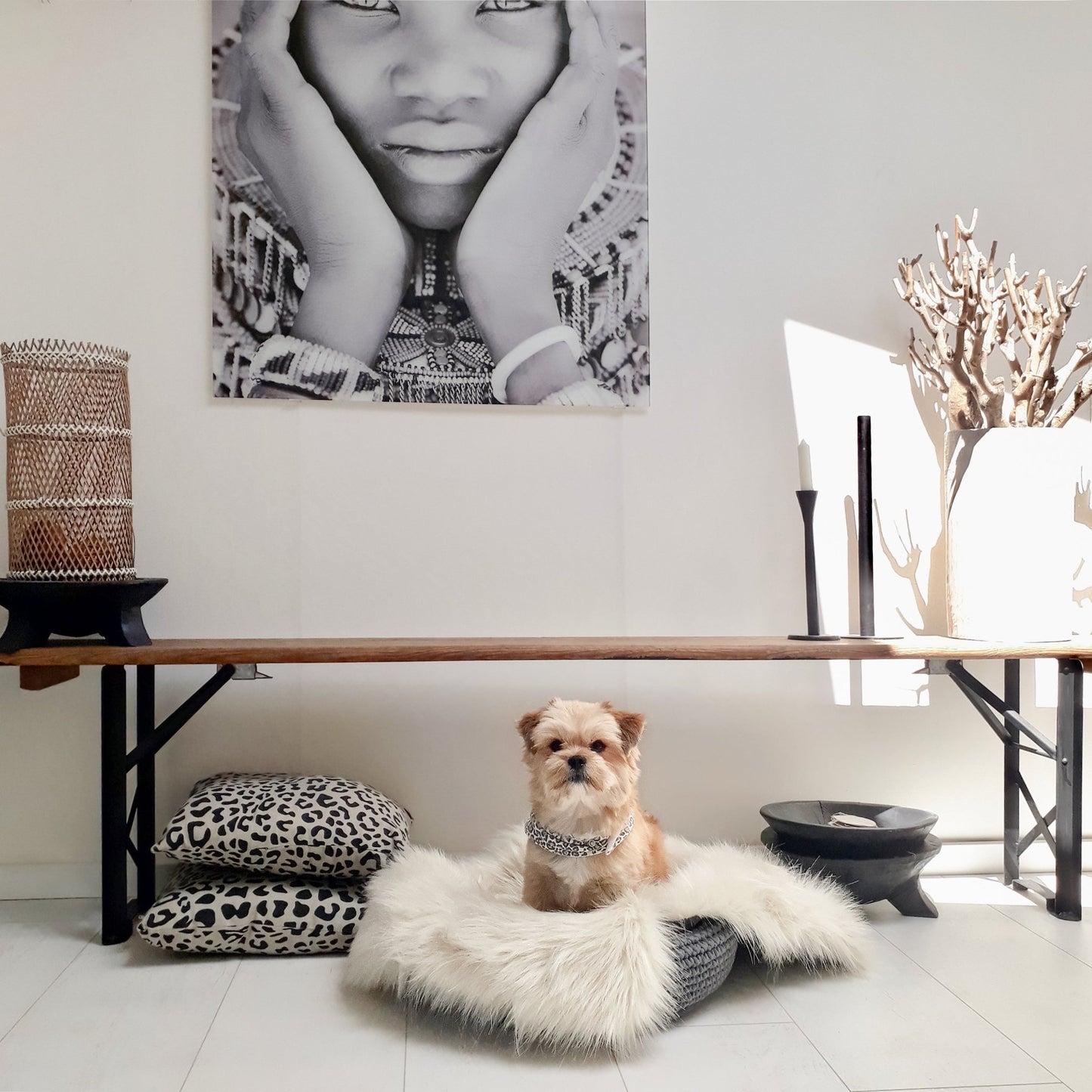 Coco | Panier design pour chien en corde de coton tressée - Jean - Poil - Beige