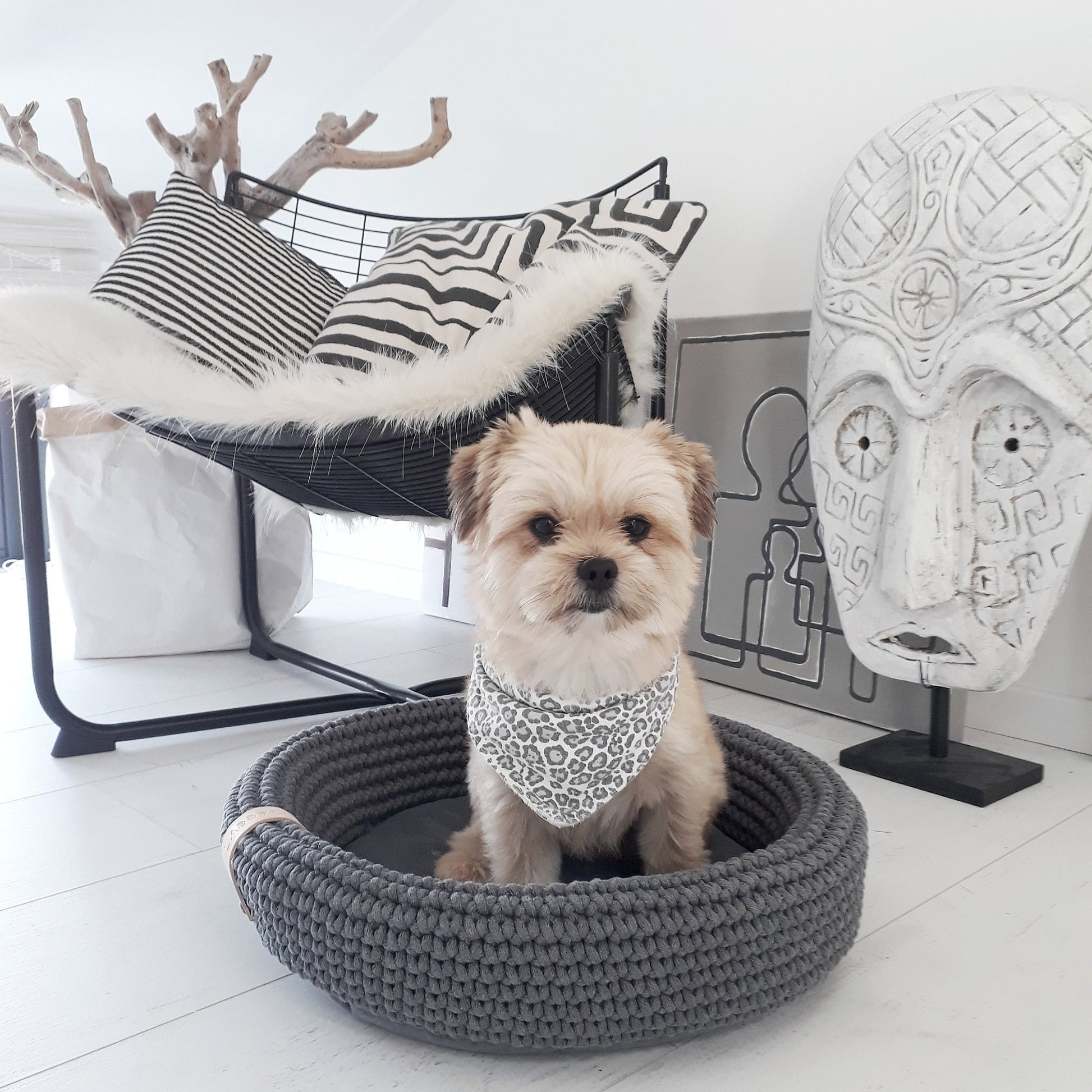 Coco | Panier design pour chien en corde de coton tressée - Jean - Poil - Beige