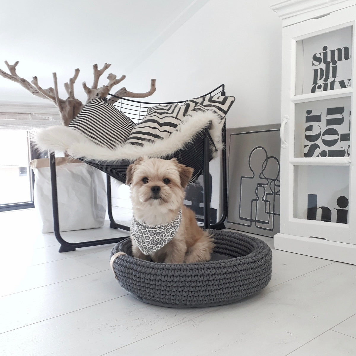 Coco | Panier design pour chien en corde de coton tressée - Jean - Poil - Beige