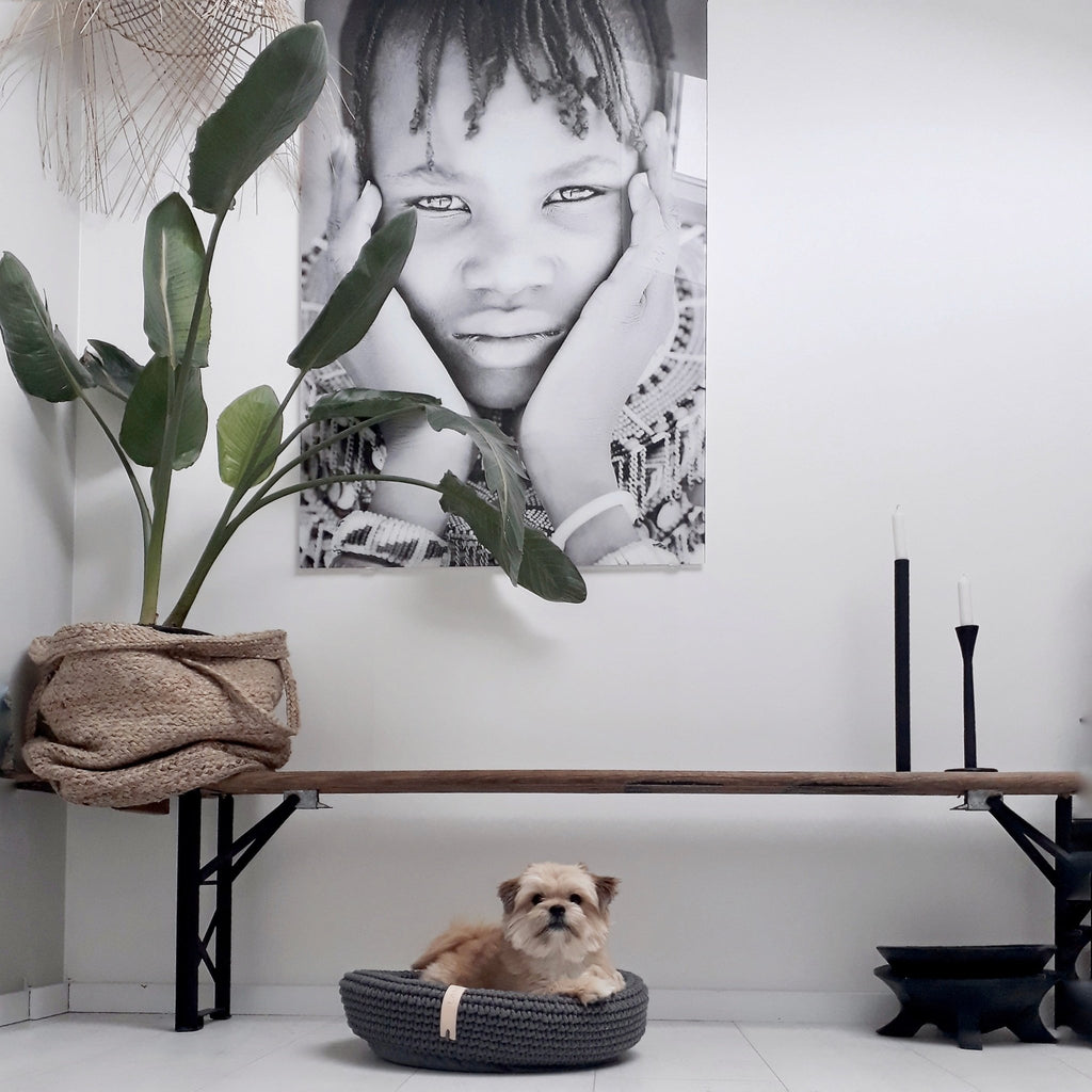 Coco | Panier design pour chien en corde de coton tressée - Jean - Poil - Beige