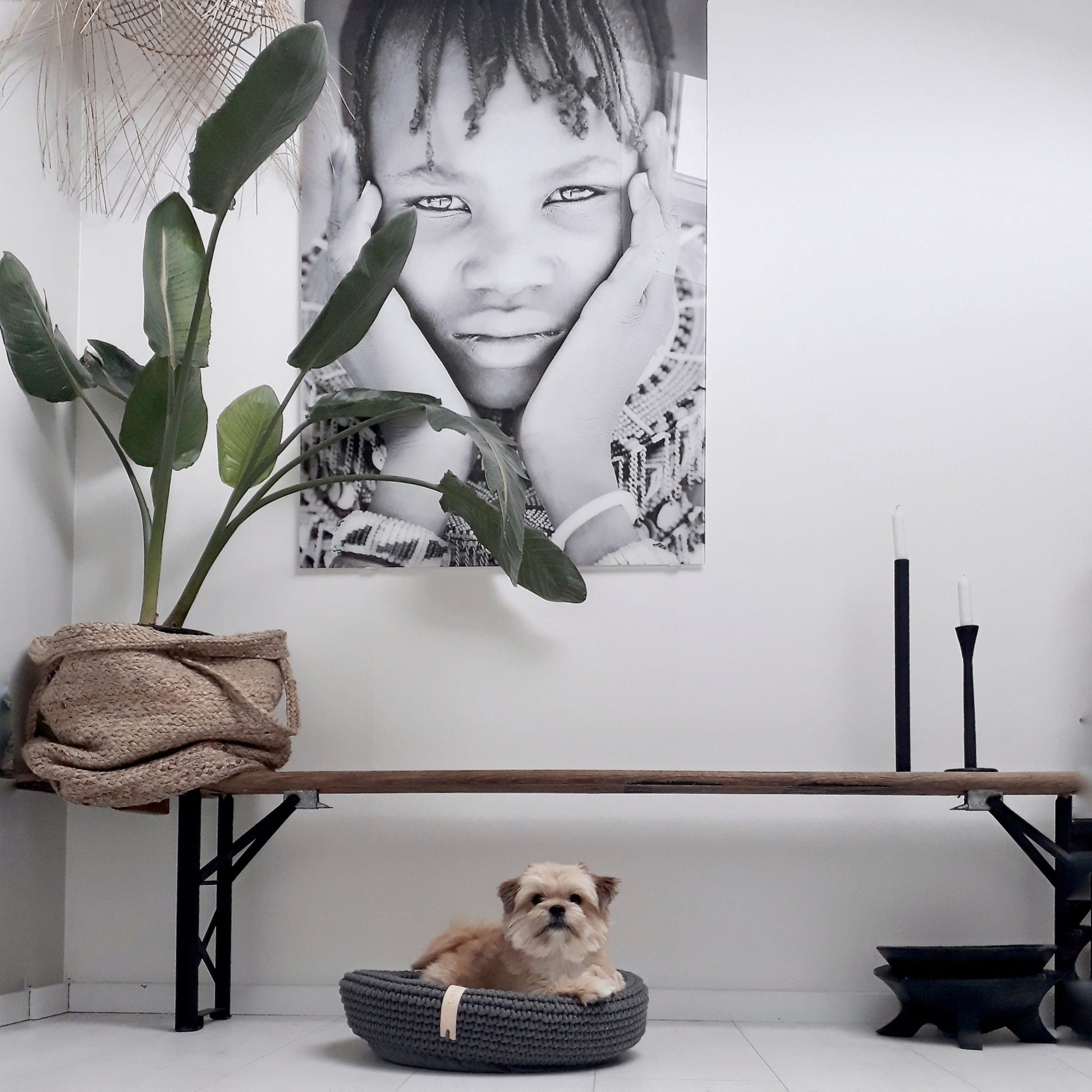 Coco | Panier design pour chien en corde de coton tressée - Jean - Poil - Beige