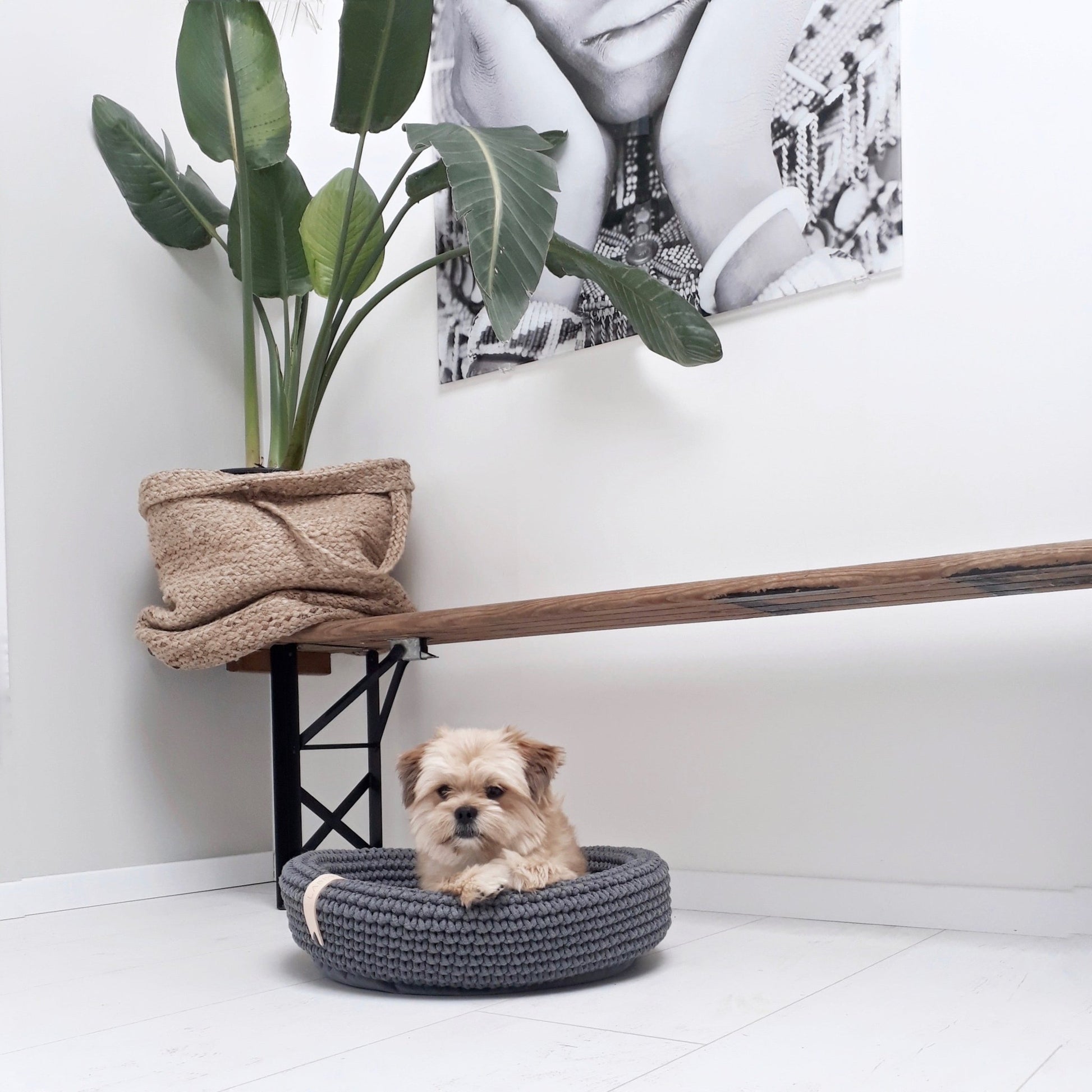 Coco | Panier design pour chien en corde de coton tressée - Jean - Poil - Beige