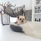 Coco | Panier design pour chien en corde de coton tressée - Jean - Poil - Beige