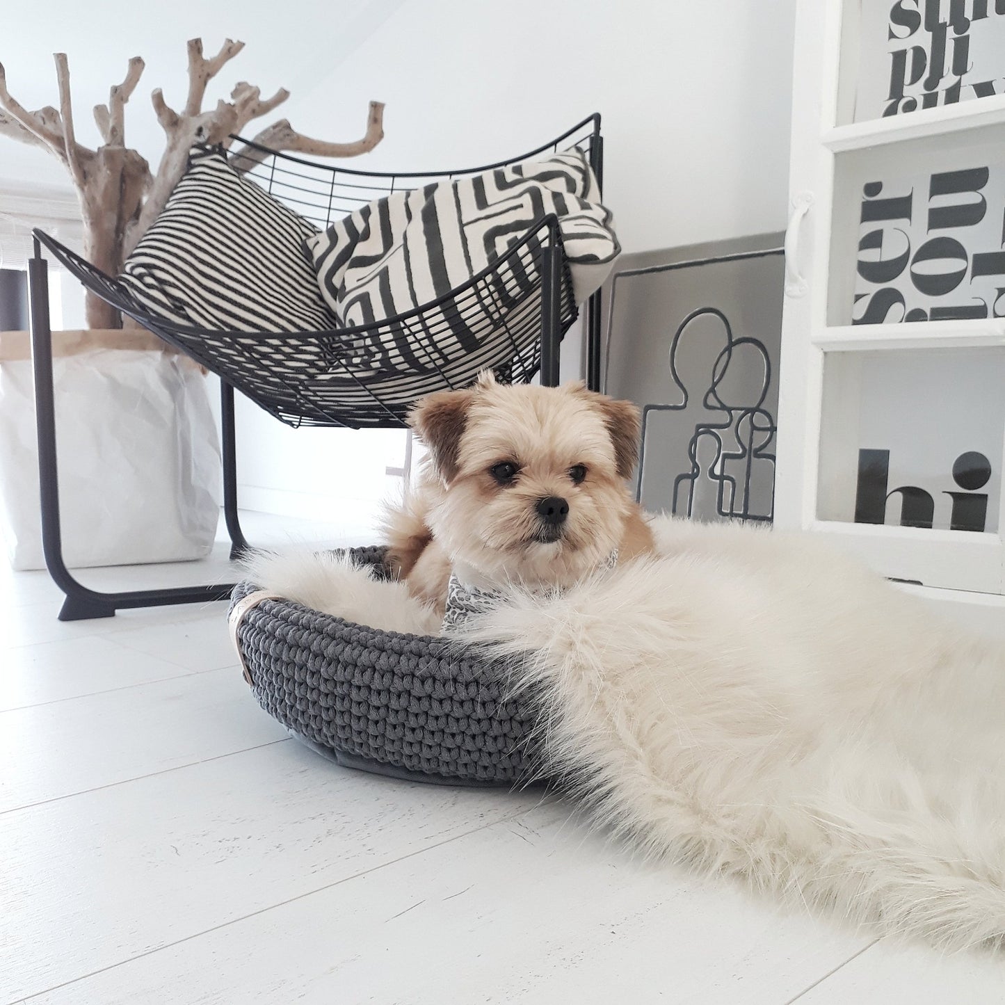 Coco | Panier design pour chien en corde de coton tressée - Jean - Poil - Beige