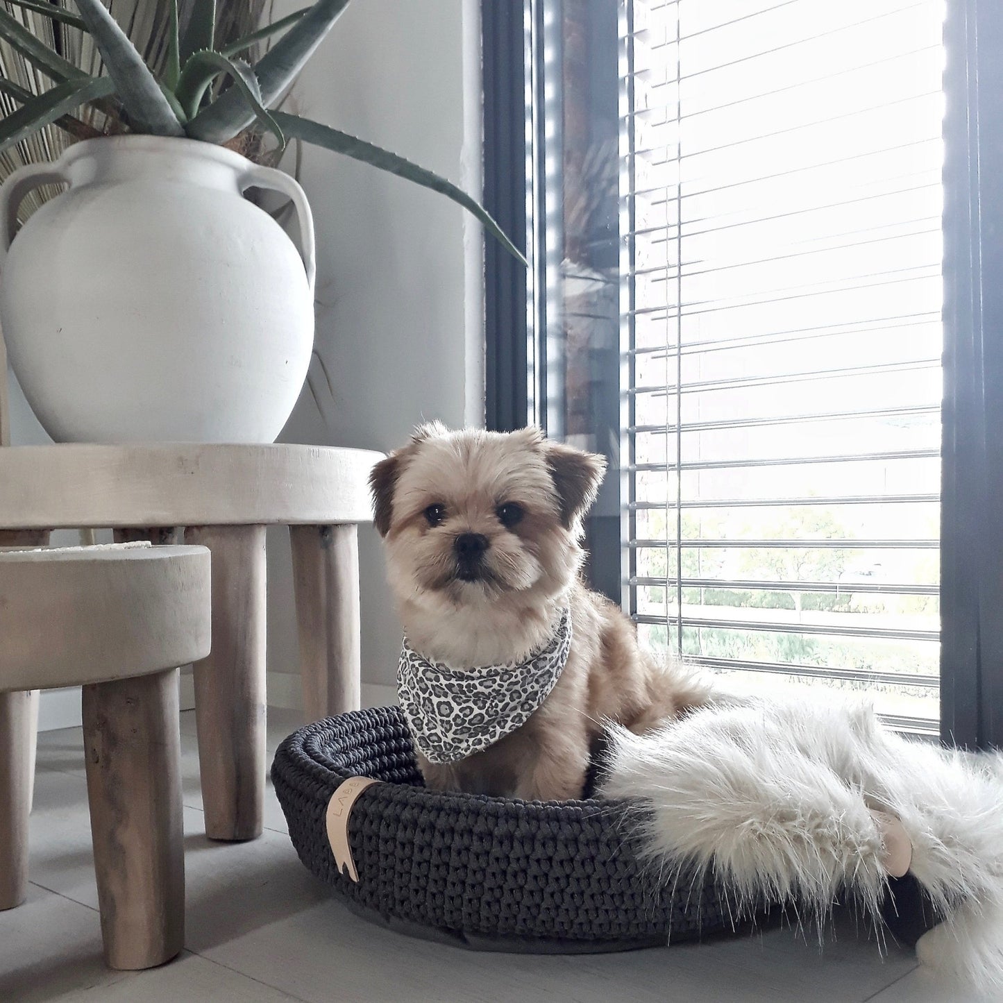 Coco | Panier design pour chien en corde de coton tressée - Jean - Poil - Beige