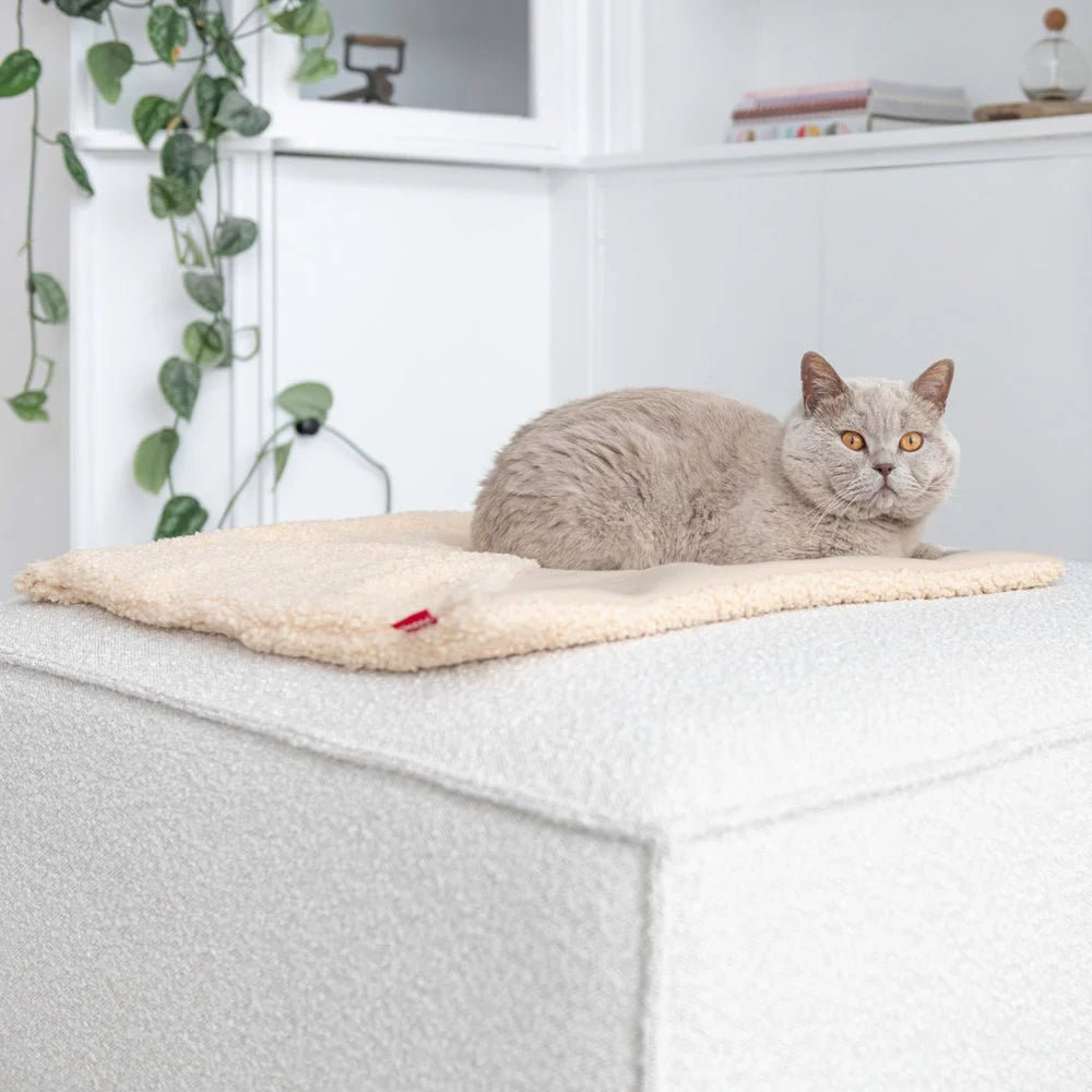 Couverture pour chat réversible douce et design - Jean - Poil - Marron