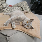 Couverture pour chat réversible douce et design - Jean - Poil - Marron