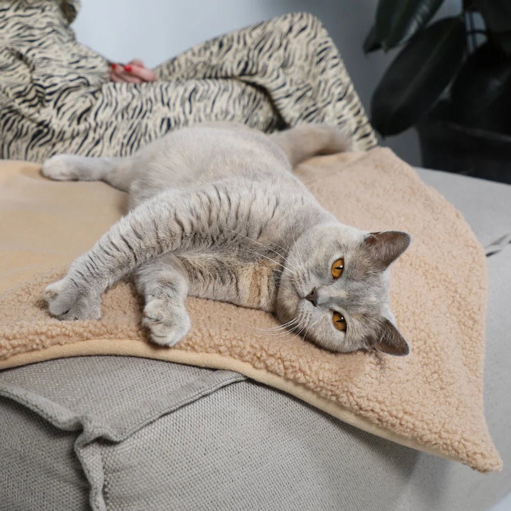 Couverture pour chat réversible douce et design - Jean - Poil - Marron