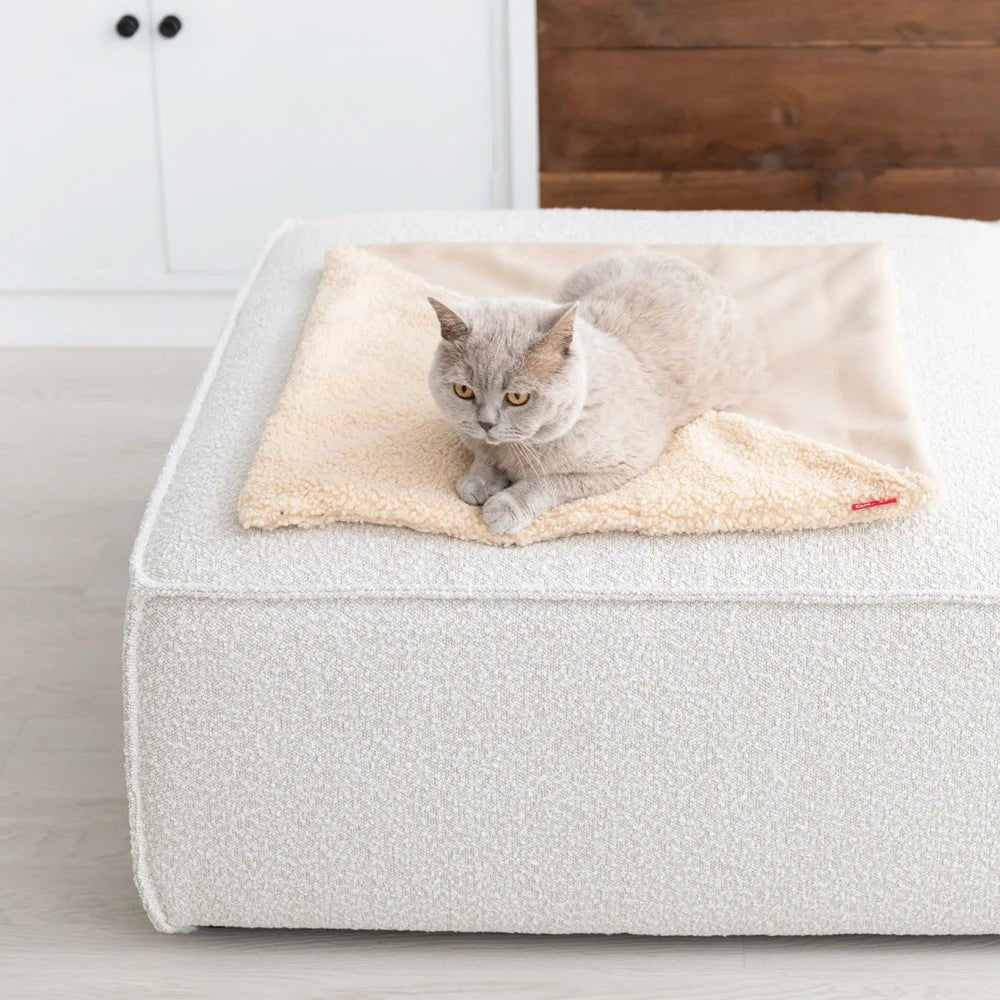 Couverture pour chat réversible douce et design - Jean - Poil - Marron