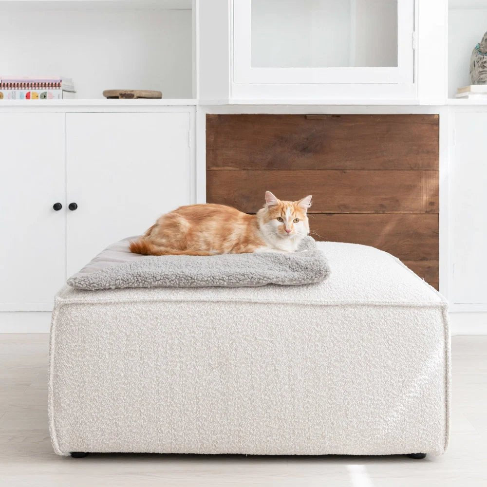 Couverture pour chat réversible douce et design - Jean - Poil - Marron