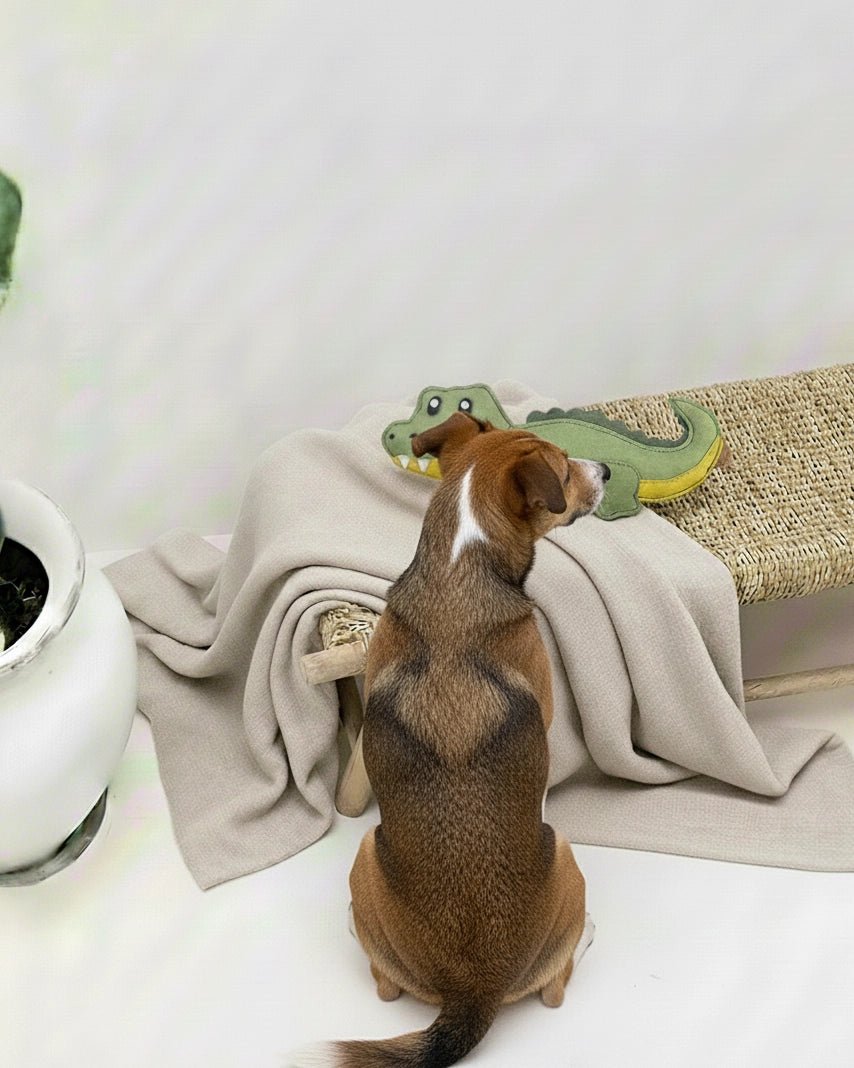 Croco XL | Jouet pour chien en chutes de cuir et fibres de coco - Jean - Poil - 