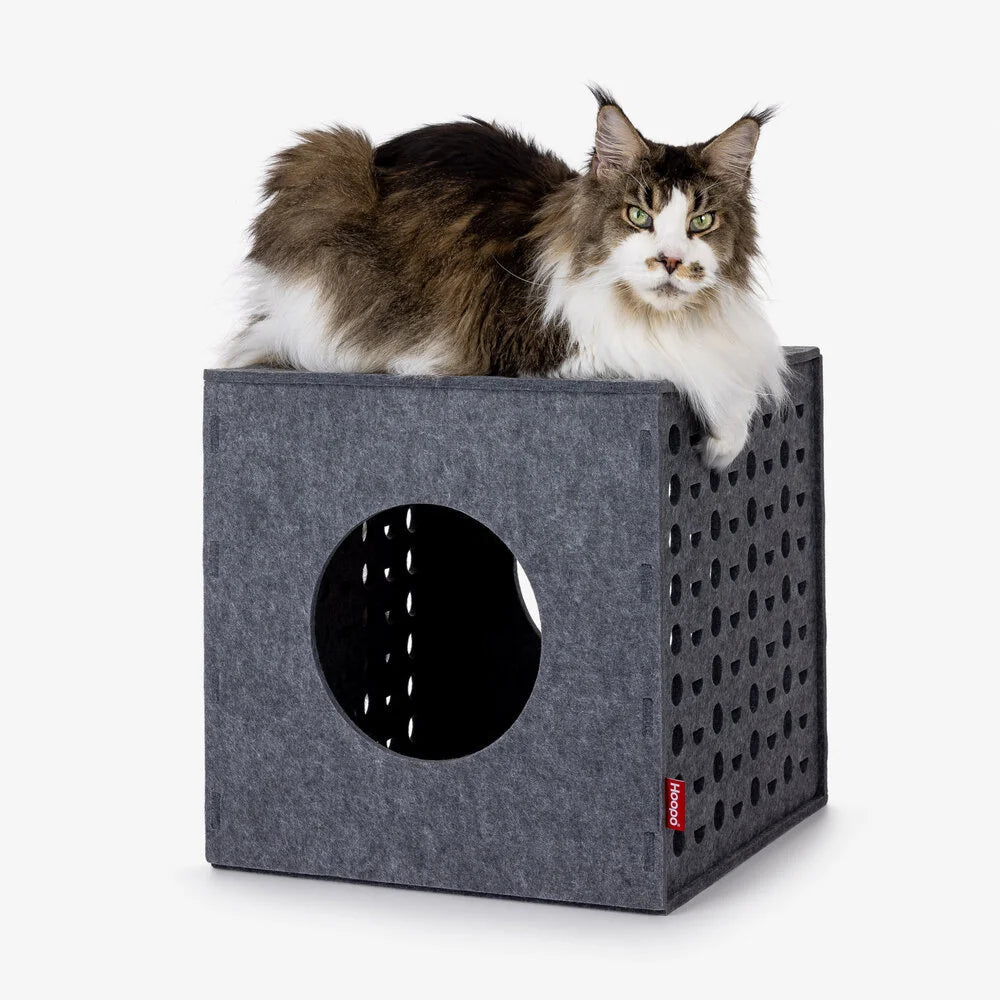 Cubo | Cube de jeu pour chat en feutre design - Jean - Poil - 