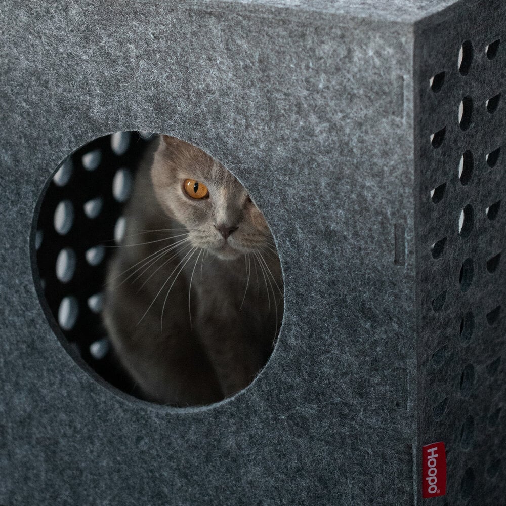 Cubo | Cube de jeu pour chat en feutre design - Jean - Poil - 