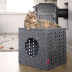 Cubo | Cube de jeu pour chat en feutre design - Jean - Poil - 