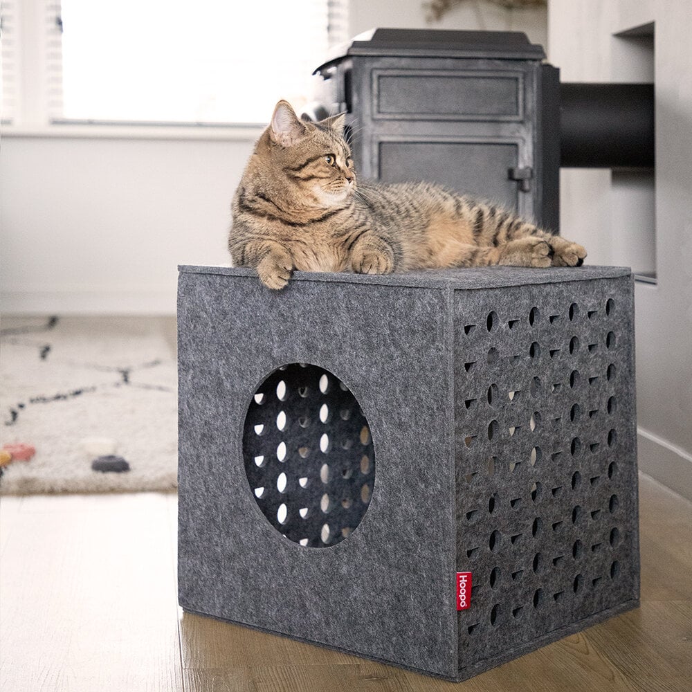 Cubo | Cube de jeu pour chat en feutre design - Jean - Poil - 
