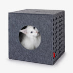 Cubo | Cube de jeu pour chat en feutre design - Jean - Poil - 