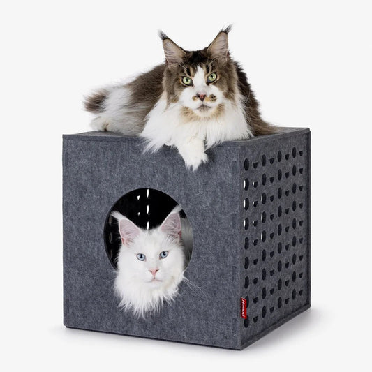 Cubo | Cube de jeu pour chat en feutre design - Jean - Poil - 