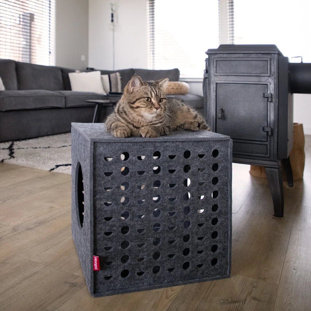 Cubo | Cube de jeu pour chat en feutre design - Jean - Poil - 