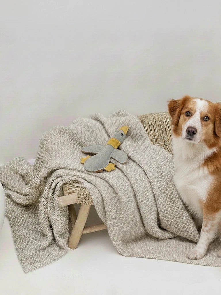 Daffy | Jouet pour chien en chutes de cuir et fibres de coco - Jean - Poil - 